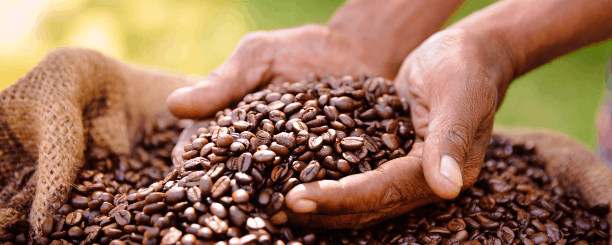 Vanuatu Coffee Impact Fund