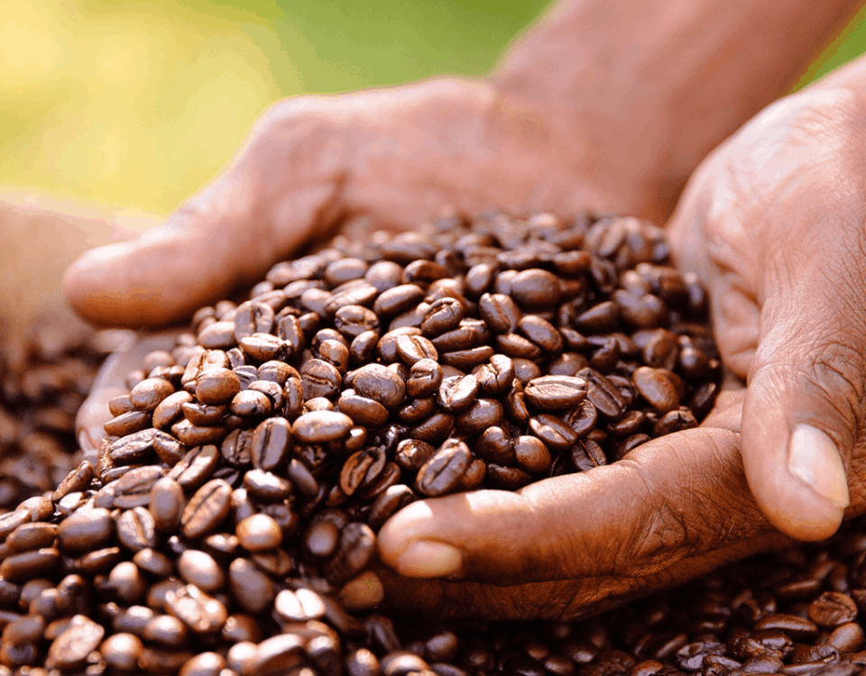 Vanuatu Coffee Impact Fund