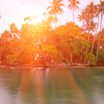 Vanuatu Citizenship Process: The Capital Investment Immigration Programme Timeline & Requirements