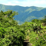 Vanuatu Coffee Impact Fund