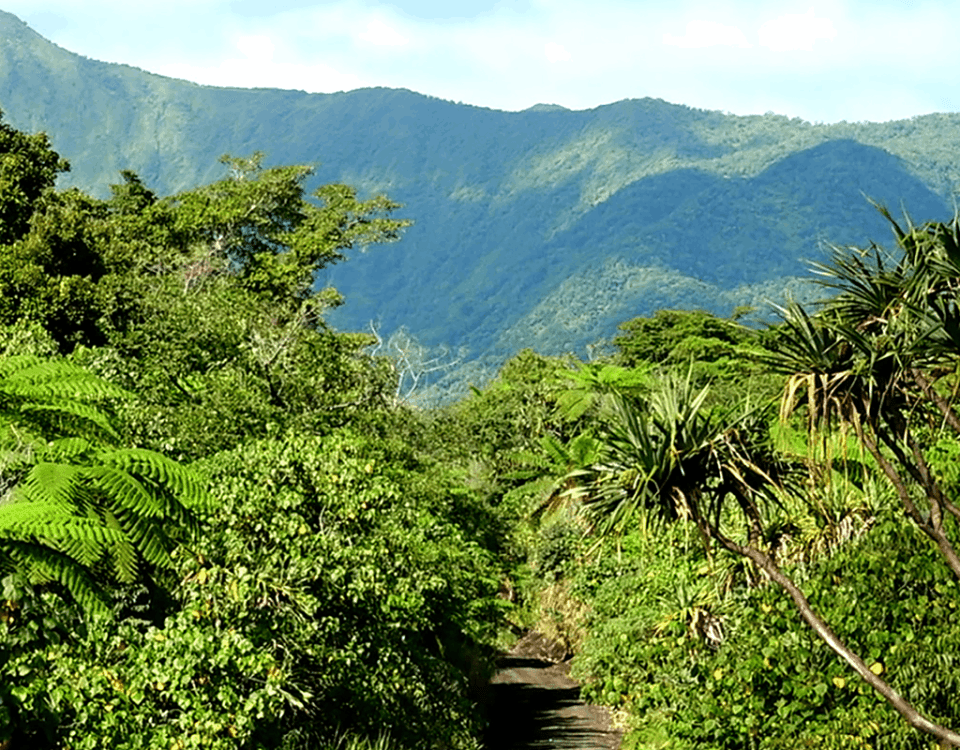 Vanuatu Coffee Impact Fund