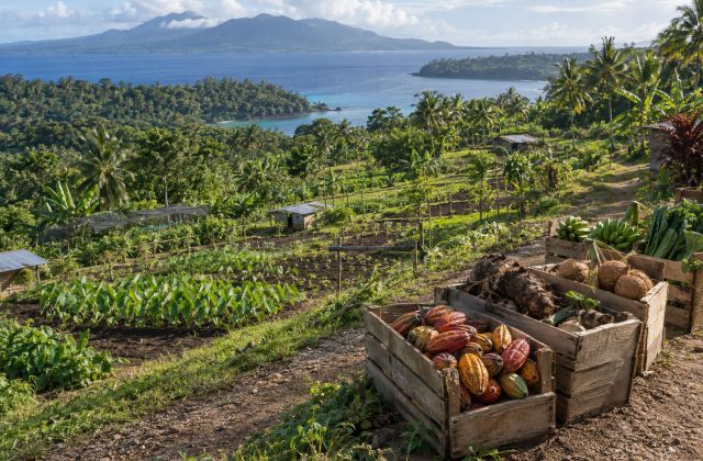 The Vanuatu Impact Fund: Citizenship That Supports 300+ Farmers